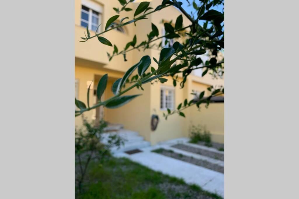 Casa De Lujo Con Piscina A 5 Minutos Andando Del Recinto Ferial Villa Jerez de la Frontera Eksteriør billede